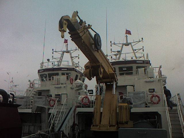 puma-marine-crane525954.jpg