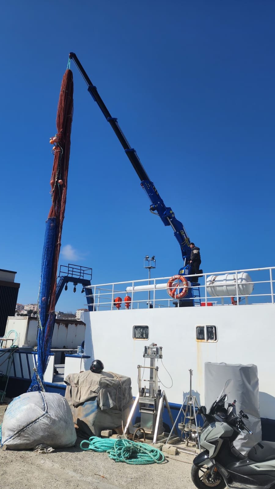 puma-marine-crane630850.jpg
